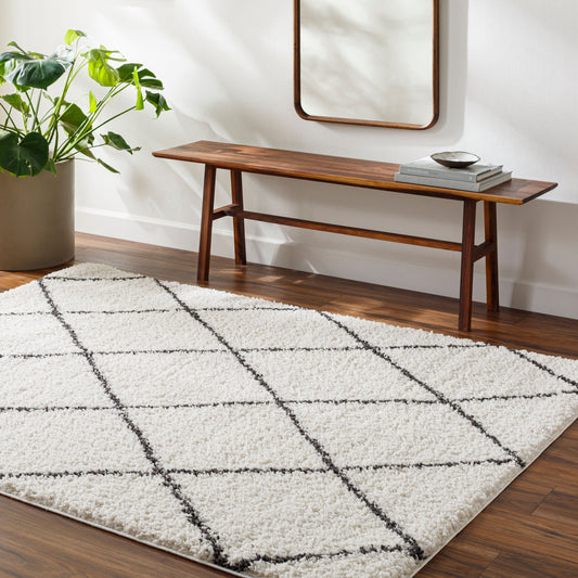 Birmingham BMM-2318 5' x 7' Machine Woven Area Rug