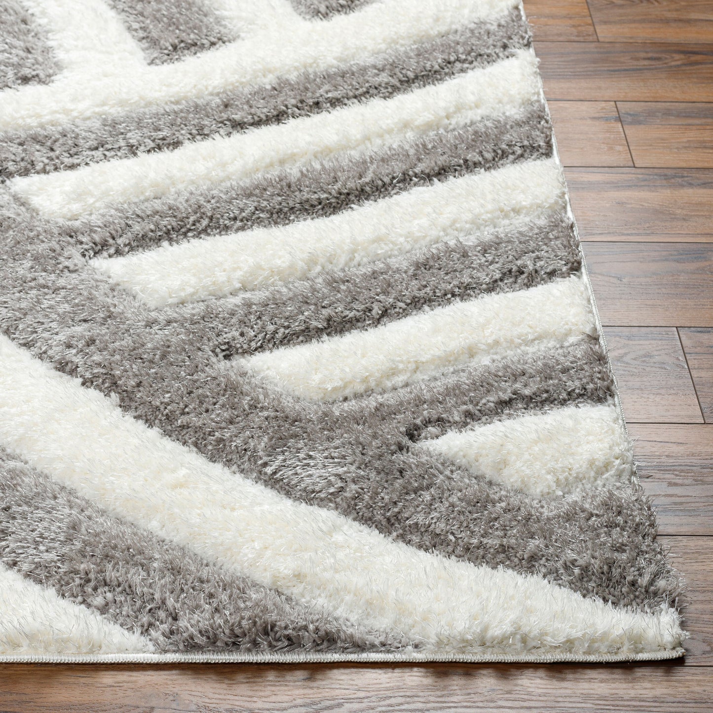 Bologna BOG-2303 5' x 7' Machine Woven Area Rug
