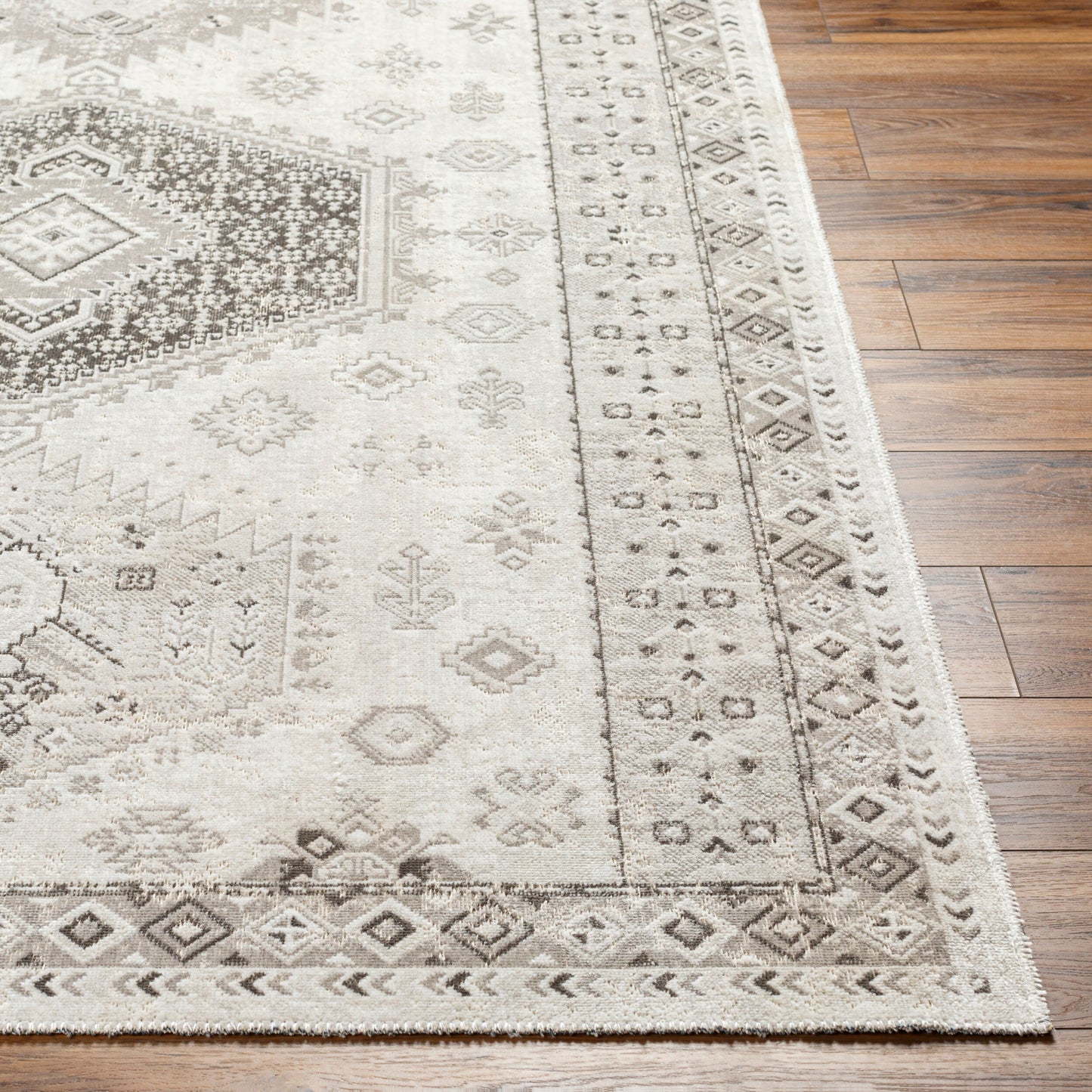 Basel BOS-2301 2' x 3' Machine Woven Accent Rug