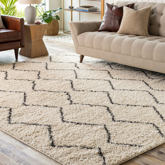 Beni Shag BSH-2302 6' x 9' Machine Woven Area Rug