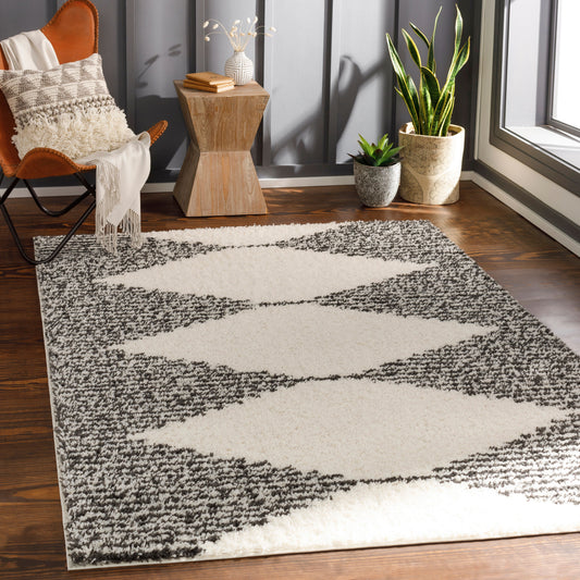 Beni Shag BSH-2308 5' x 7' Machine Woven Area Rug