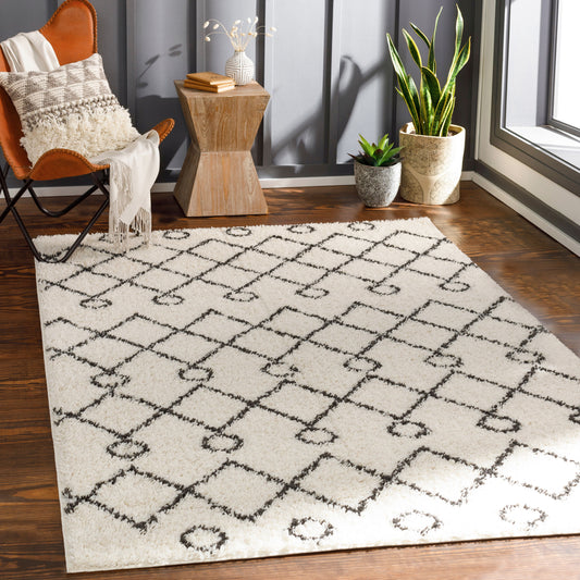 Beni Shag BSH-2313 6' x 9' Machine Woven Area Rug