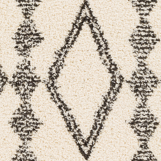 Beni Shag BSH-2318 5' x 7' Machine Woven Area Rug