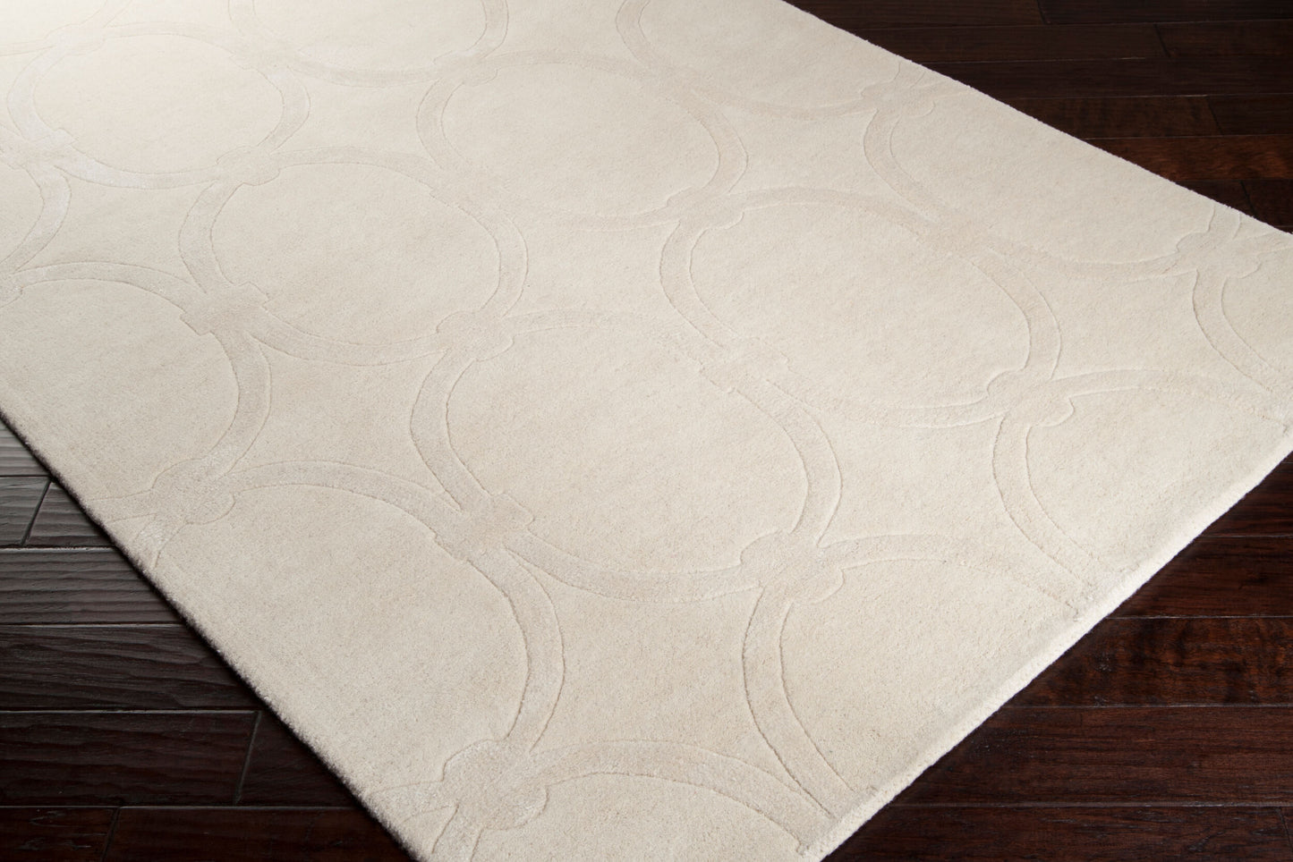 Modern Classics CAN-1988 2' x 3' Handmade Accent Rug