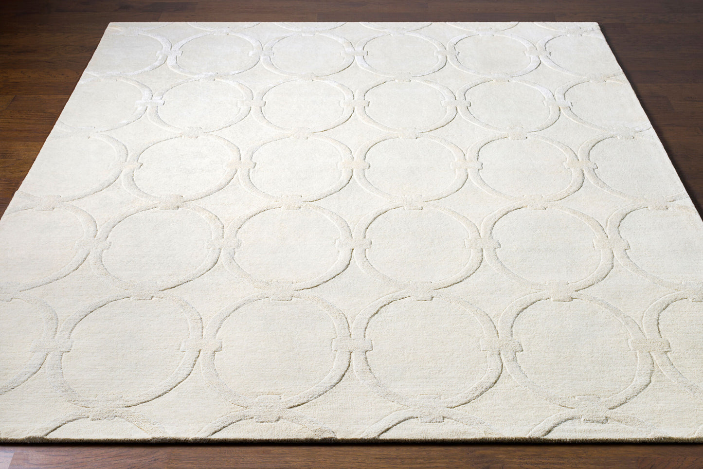 Modern Classics CAN-1988 2' x 3' Handmade Accent Rug