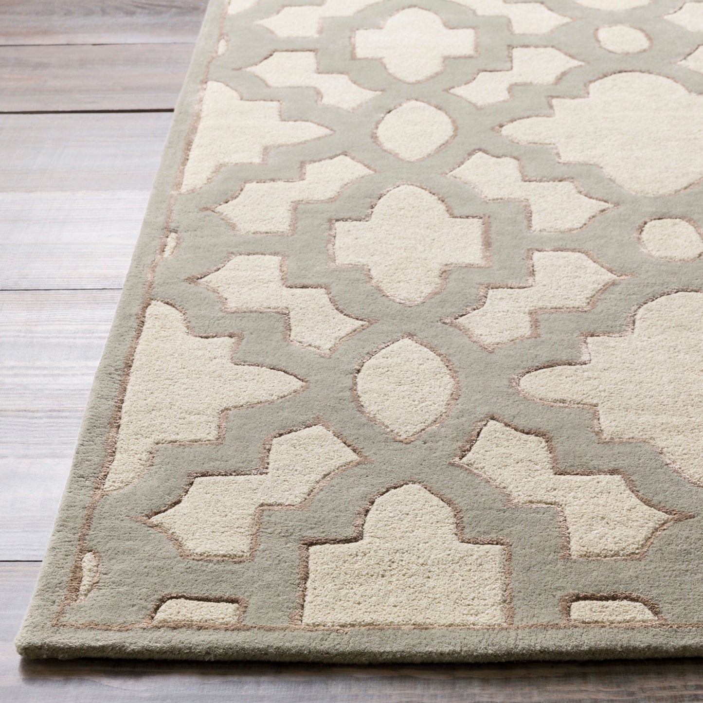 Modern Classics CAN-2041 2' x 3' Handmade Wool Accent Rug
