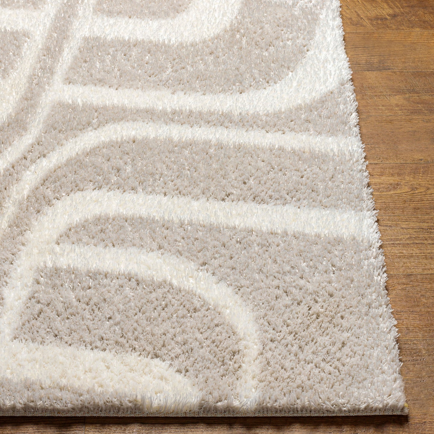 Alfombra tejida a máquina Cloudy Shag CDG-2309 de 1,52 m x 2,13 m