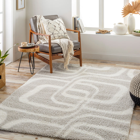 Cloudy Shag CDG-2309 5' x 7' Machine Woven Area Rug