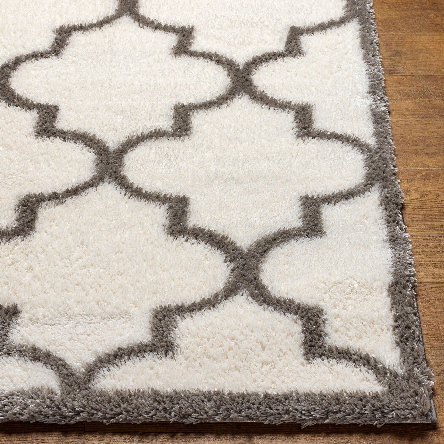 Cloudy Shag CDG-2314 5' x 7' Machine Woven Area Rug
