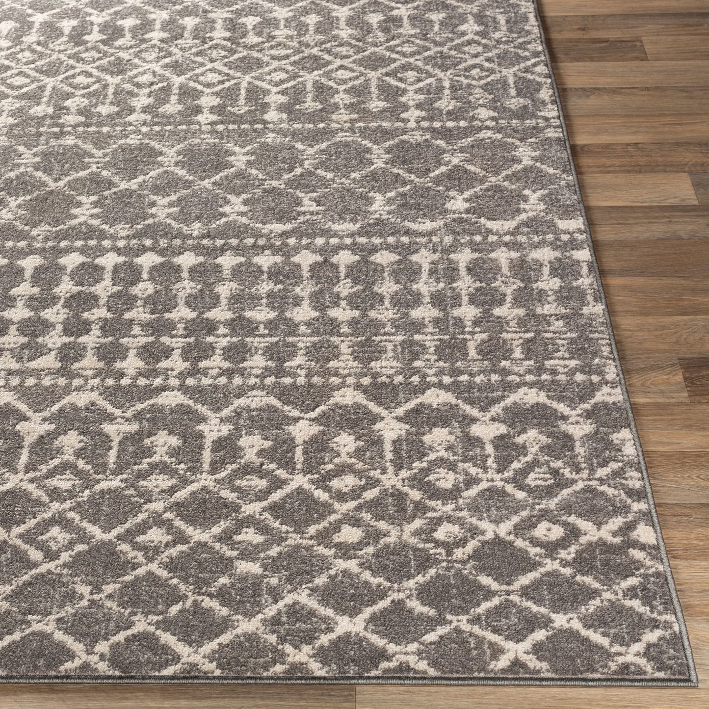 Chester CHE-2321 8' x 10' Machine Woven Area Rug