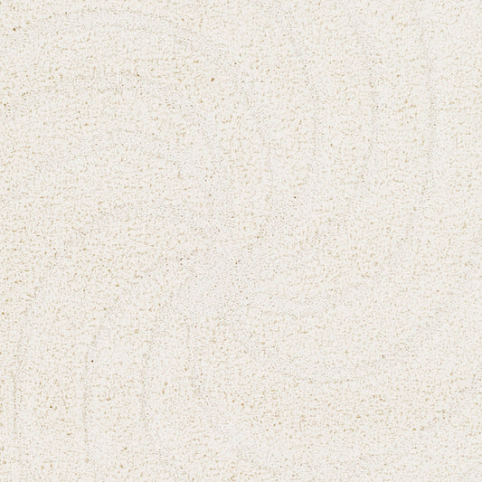 Alfombra decorativa tejida a máquina Cut & Loop Shag CLG-2301 de 2' x 3'