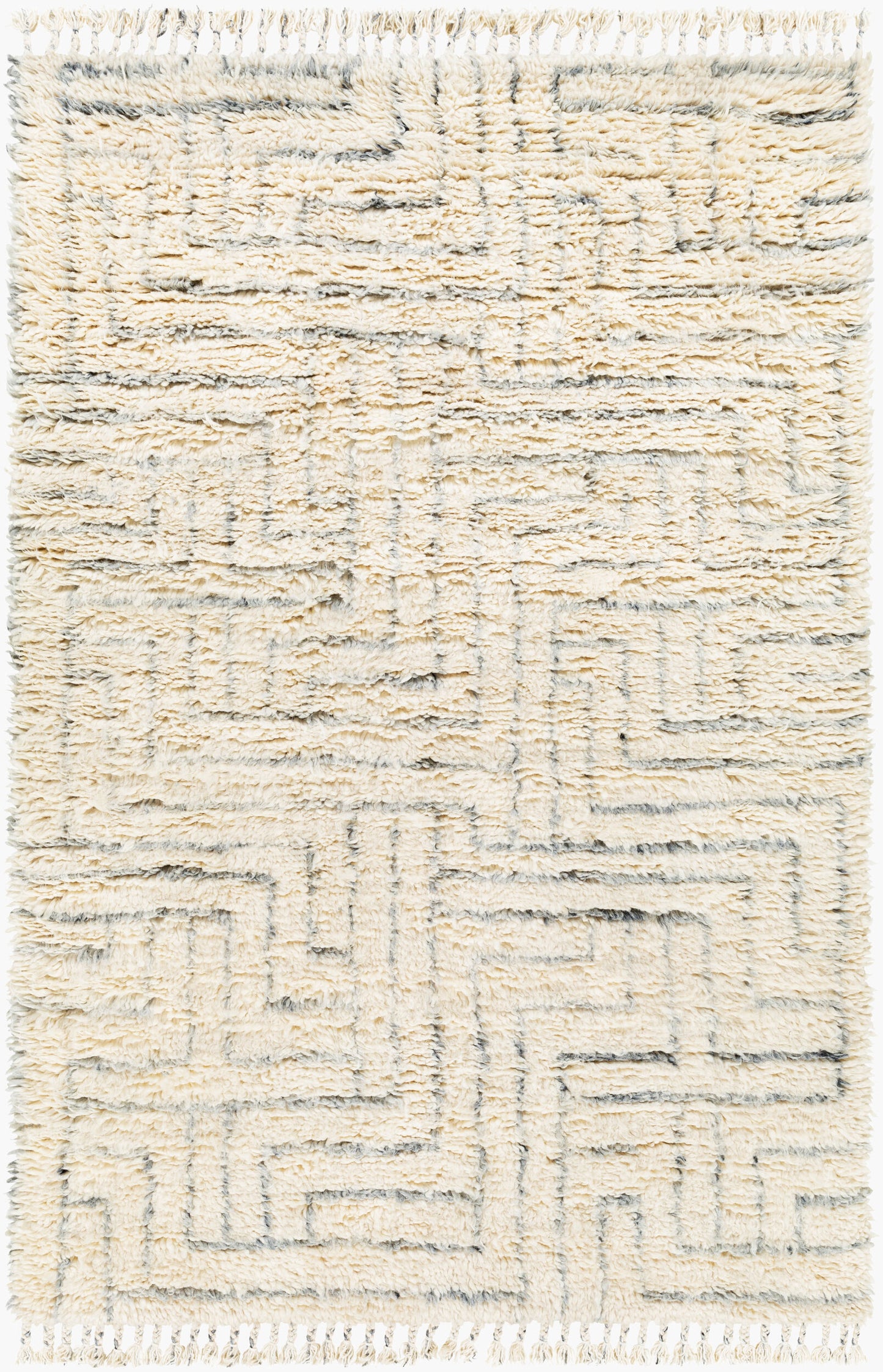 Camille CME-2302 2' x 3' Handmade Wool Accent Rug