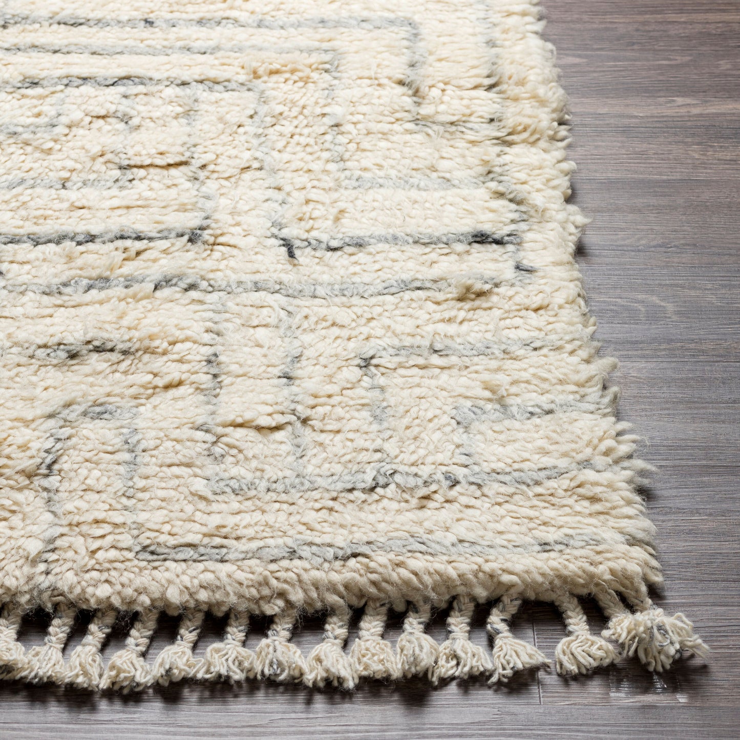 Camille CME-2302 2' x 3' Handmade Wool Accent Rug