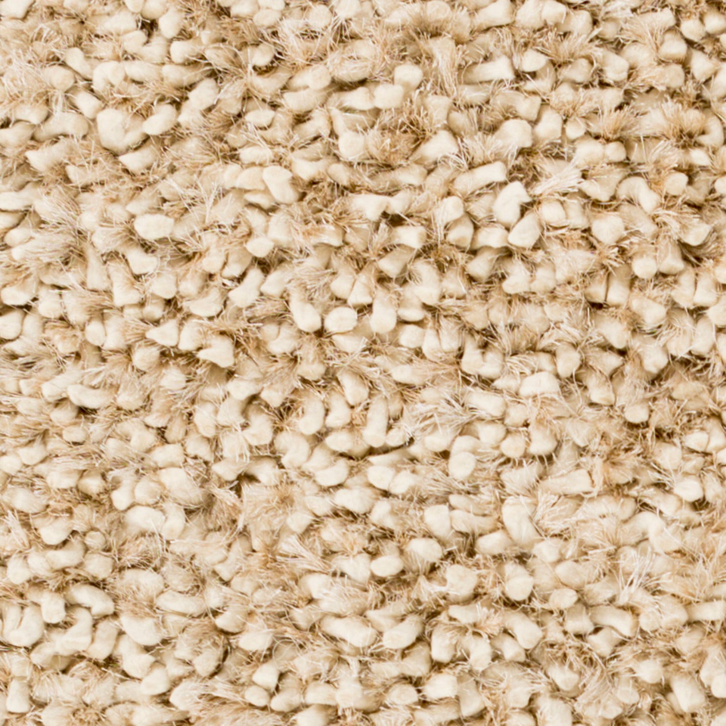 Alfombra decorativa hecha a mano Cumulus CML-2000 de 2' x 3'