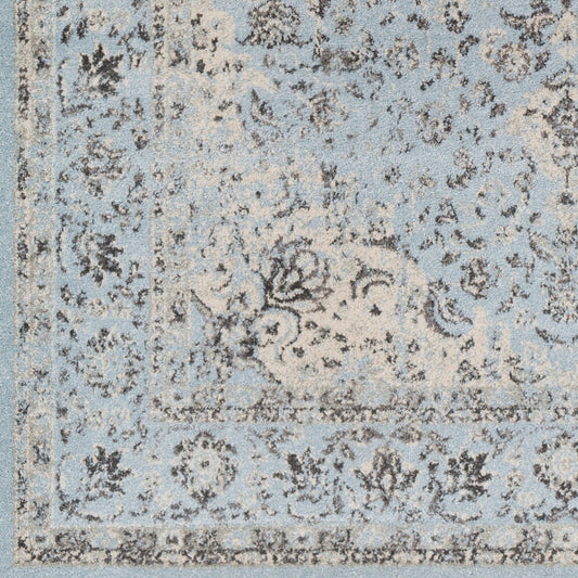 Alfombra decorativa tejida a máquina Chelsea CSA-2303 de 2' x 3'