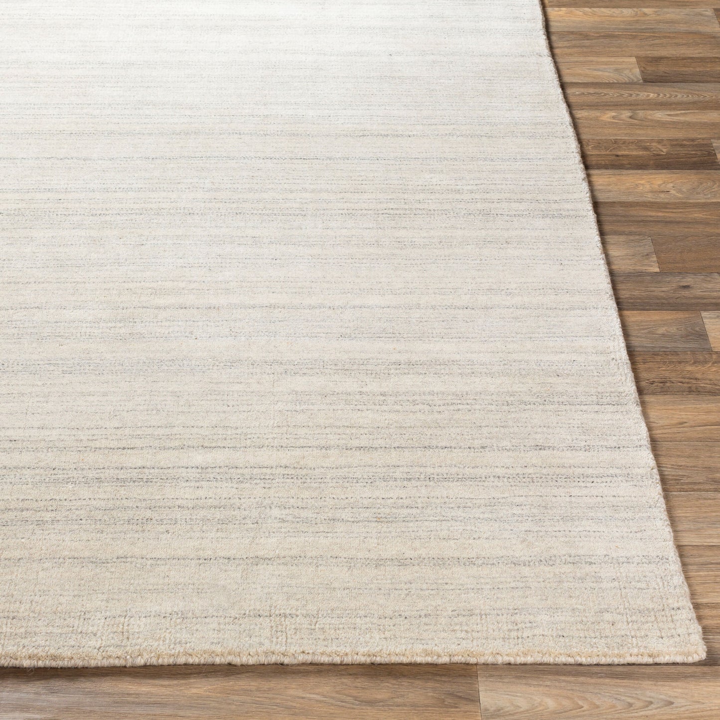 Costine CSE-1002 2' x 3' Handmade Accent Rug