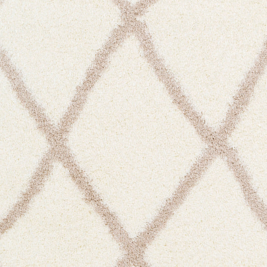 Alfombra tejida a máquina Cloudy Shag CYS-3402 de 8' x 10'