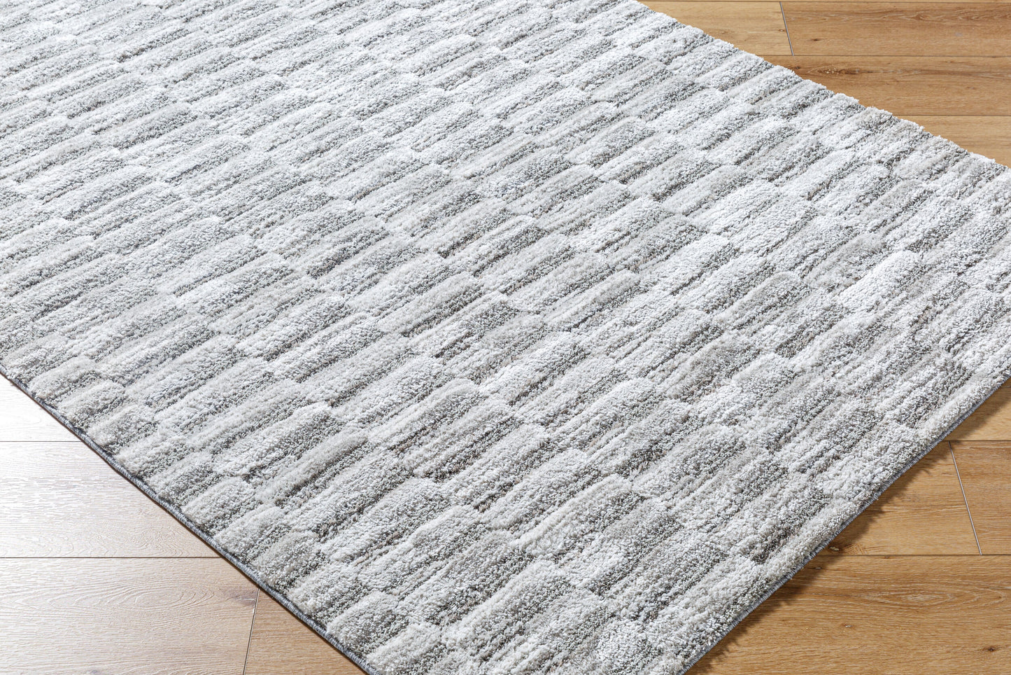 Delight Shag DEL-2301 5' x 7' Machine Woven Area Rug