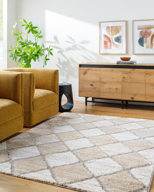 Alfombra tejida a máquina Delight Shag DEL-2306 de 1,52 m x 2,13 m