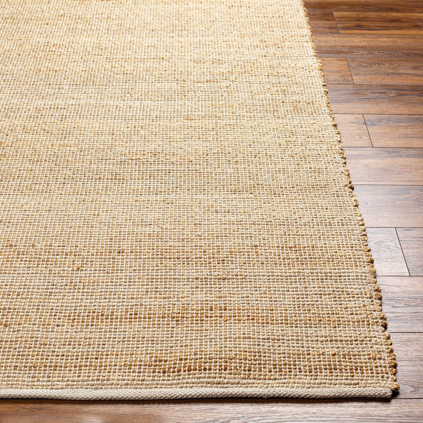 Demi DEM-2304 2' x 3' Handmade Jute Accent Rug