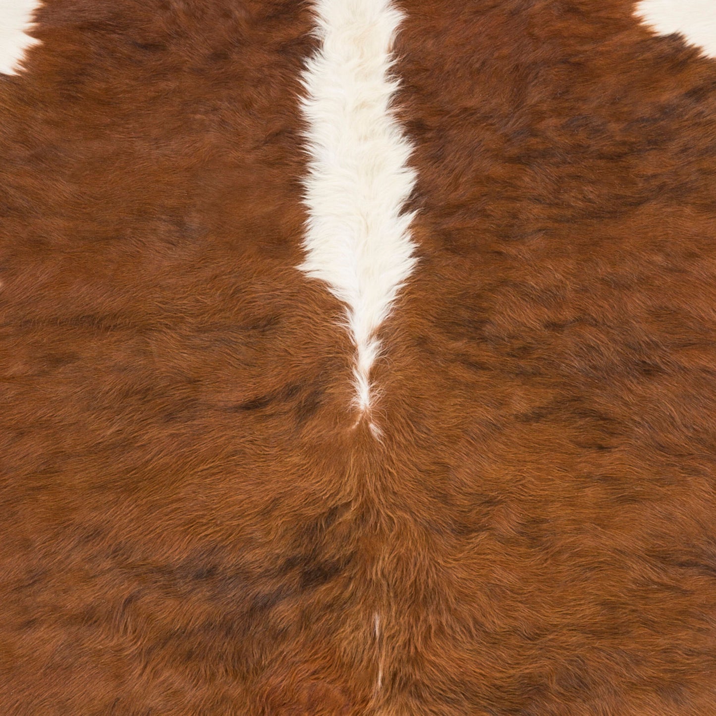 Duke DUK-1001 5ft Square Handmade Area Rug