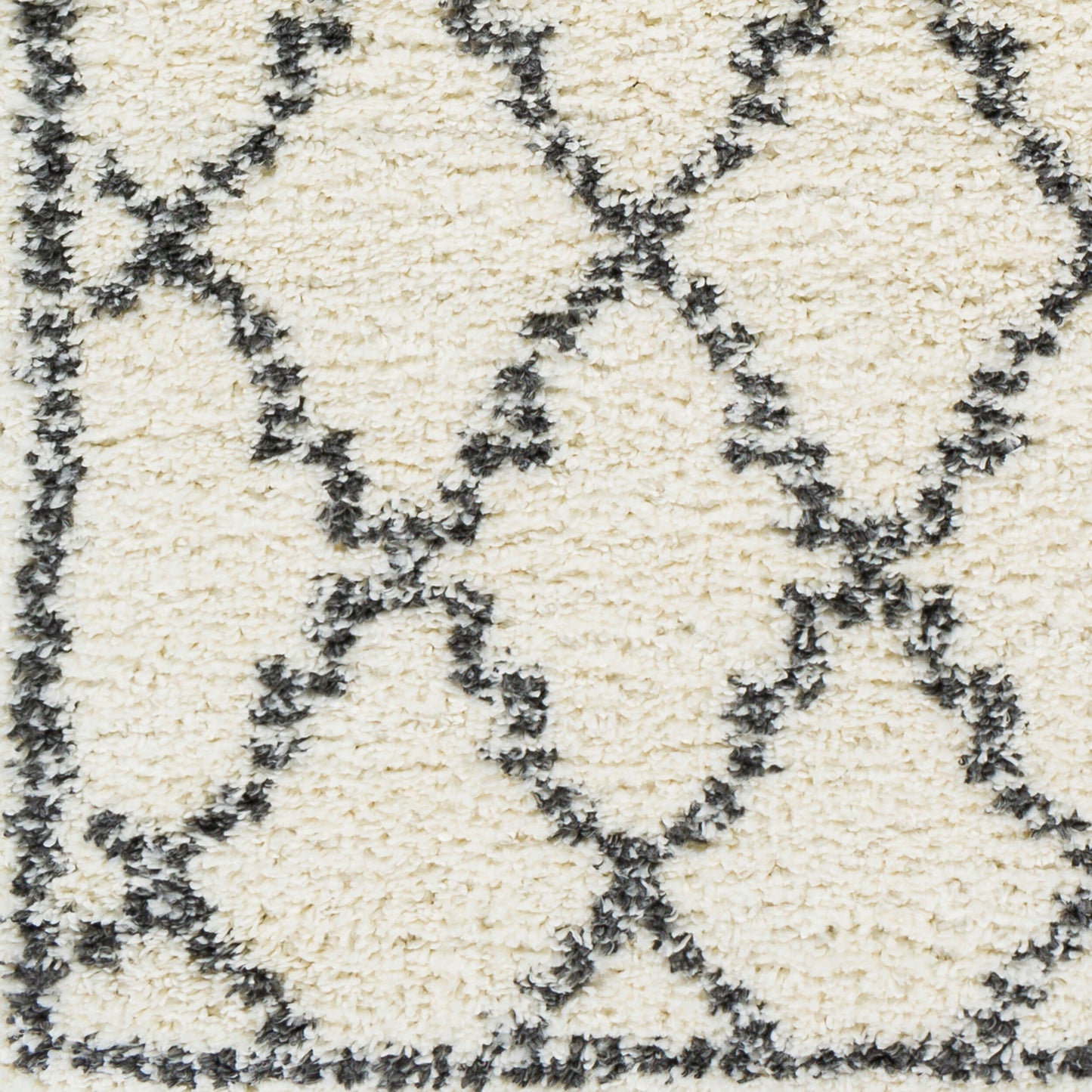 Deluxe Shag DXS-2306 5' x 7' Machine Woven Area Rug