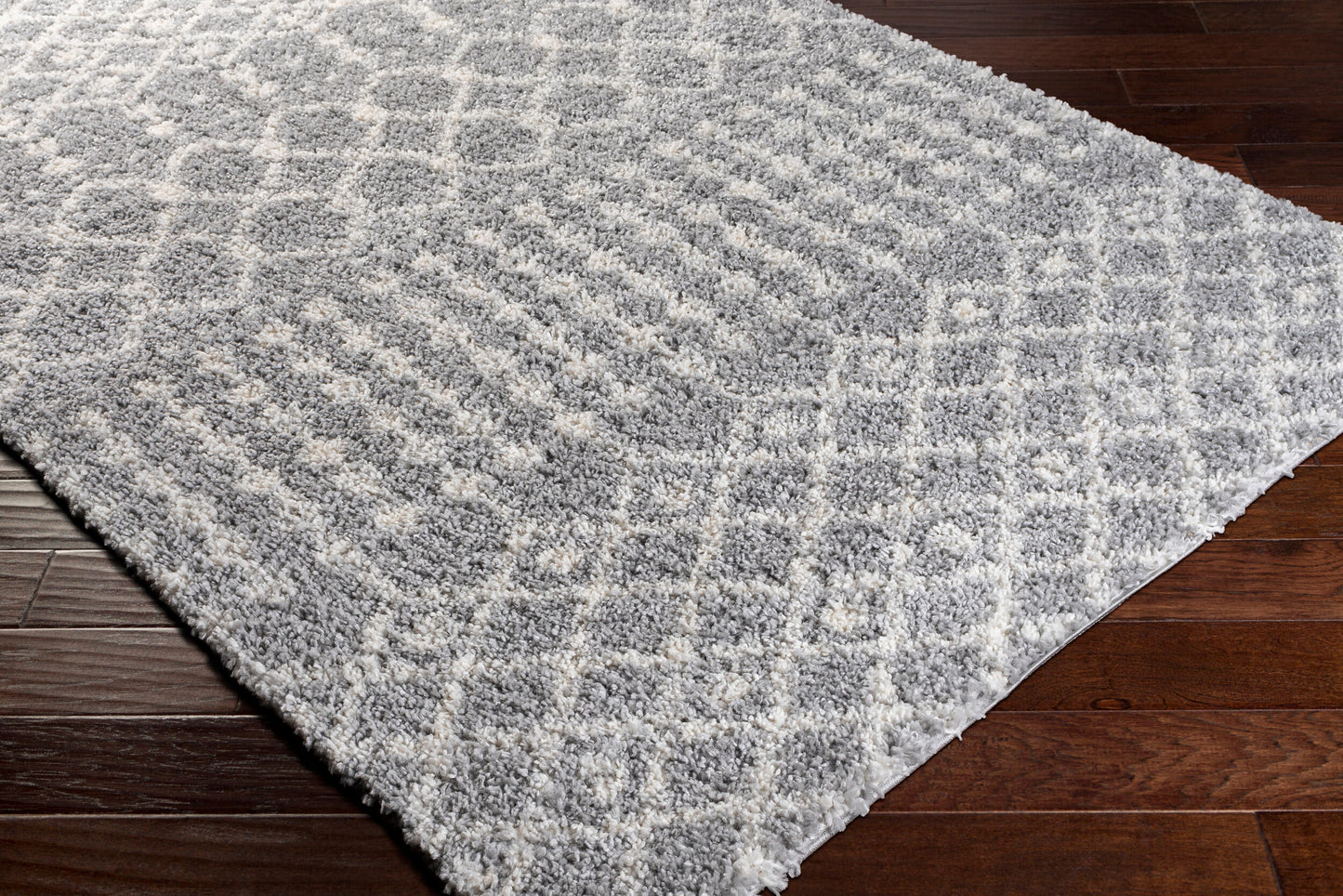 Deluxe Shag DXS-2313 2' x 3' Machine Woven Accent Rug
