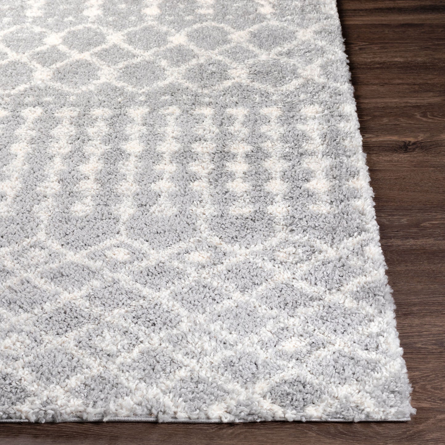 Deluxe Shag DXS-2313 2' x 3' Machine Woven Accent Rug