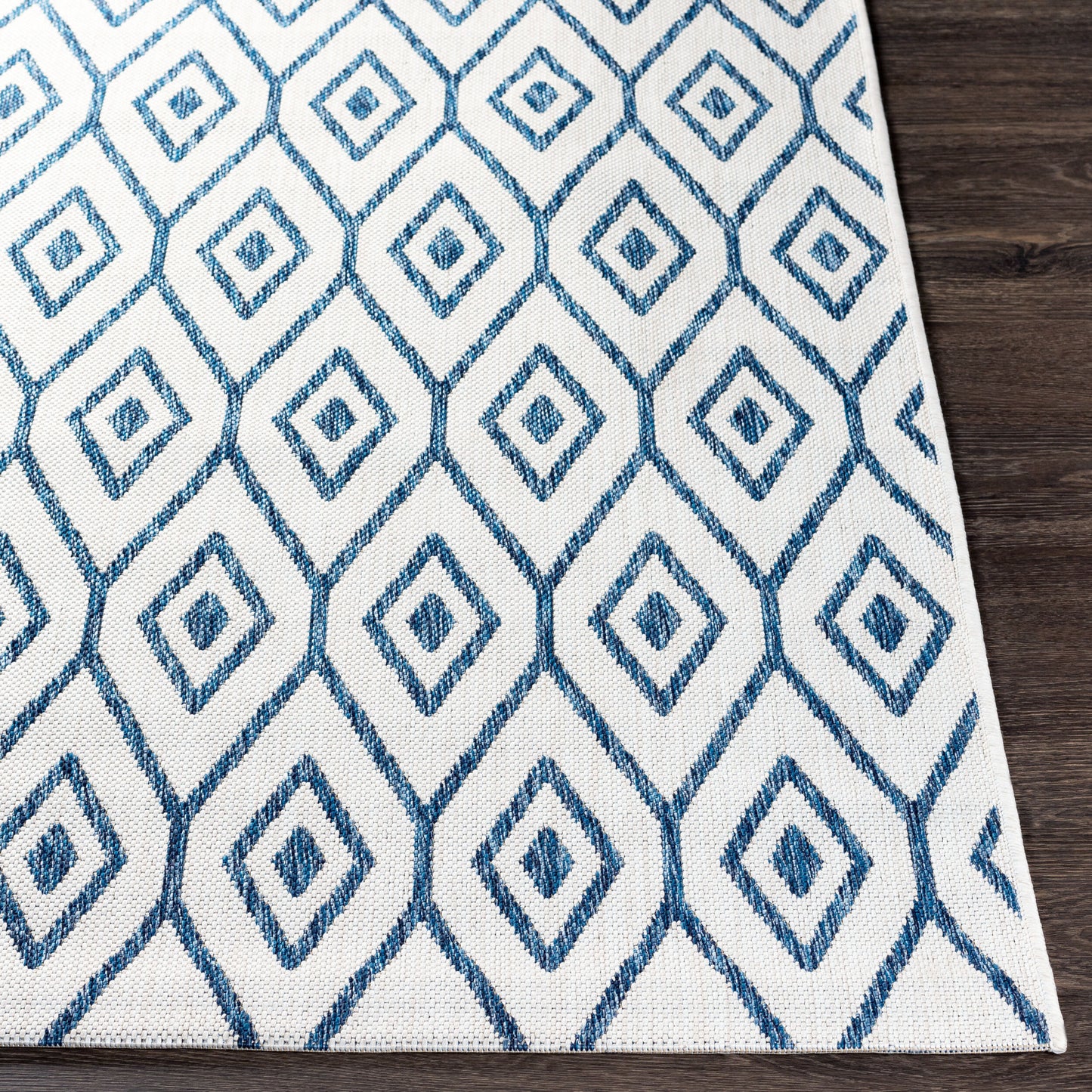 Eagean EAG-2391 2' x 3' Machine Woven Indoor/Outdoor Accent Rug