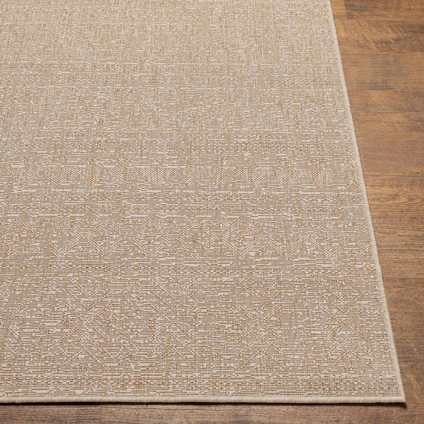 Eagean EAG-2406 2' x 3' Machine Woven Indoor/Outdoor Accent Rug