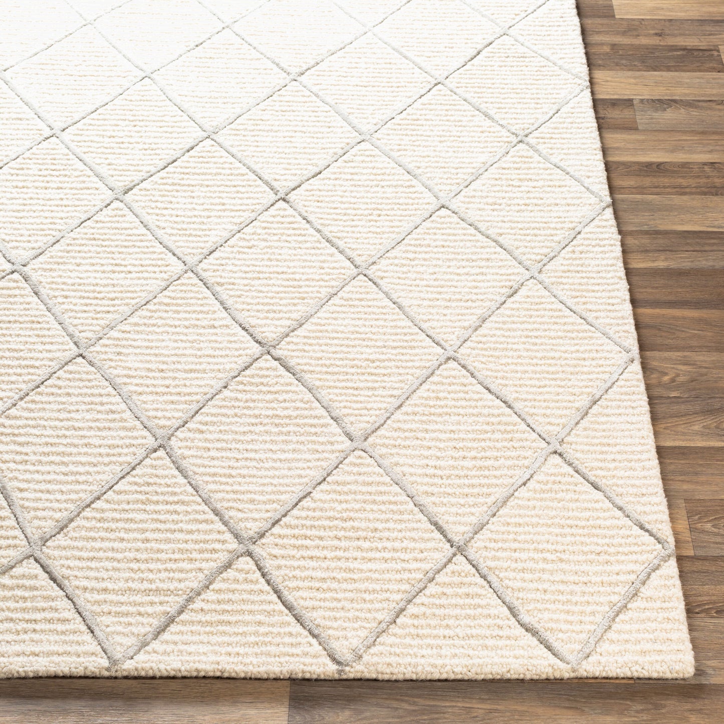 Eaton EAT-2303 2' x 3' Handmade Wool Accent Rug