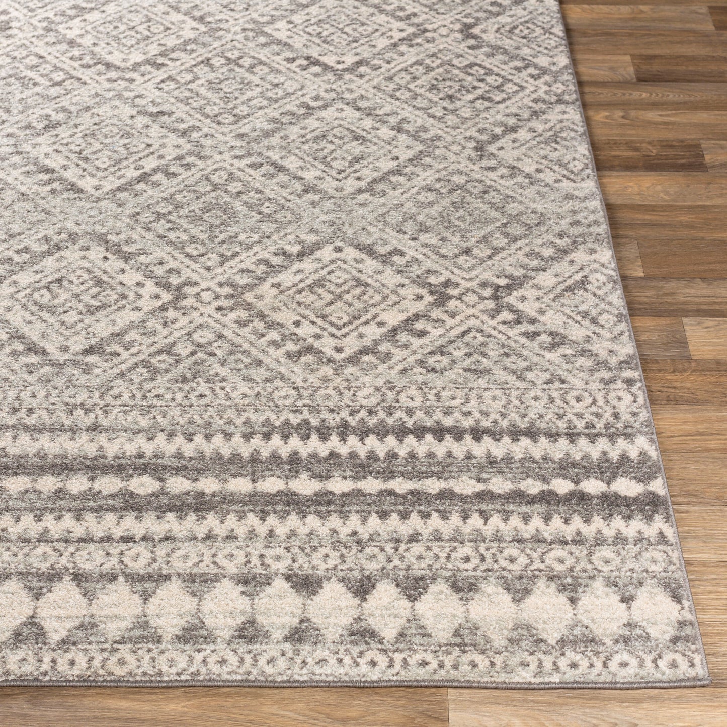 Elaziz ELZ-2357 2' x 3' Machine Woven Accent Rug