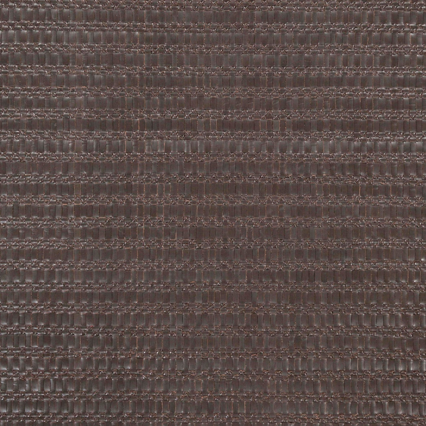 Alfombra hecha a mano Equus EQU-8000 de 4' x 6'