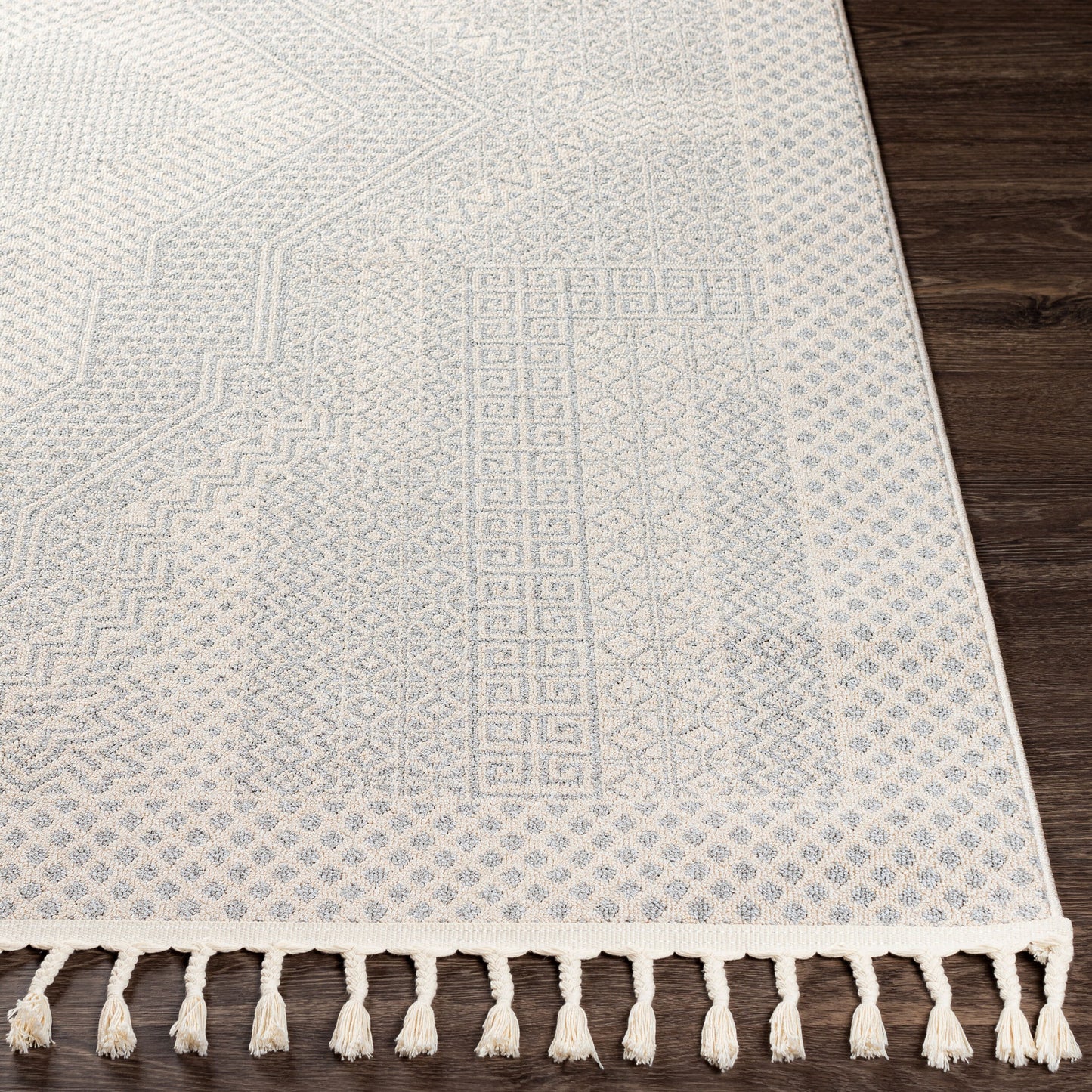 Alfombra decorativa tejida a máquina Euphoria ERP-2300 de 2' x 3'