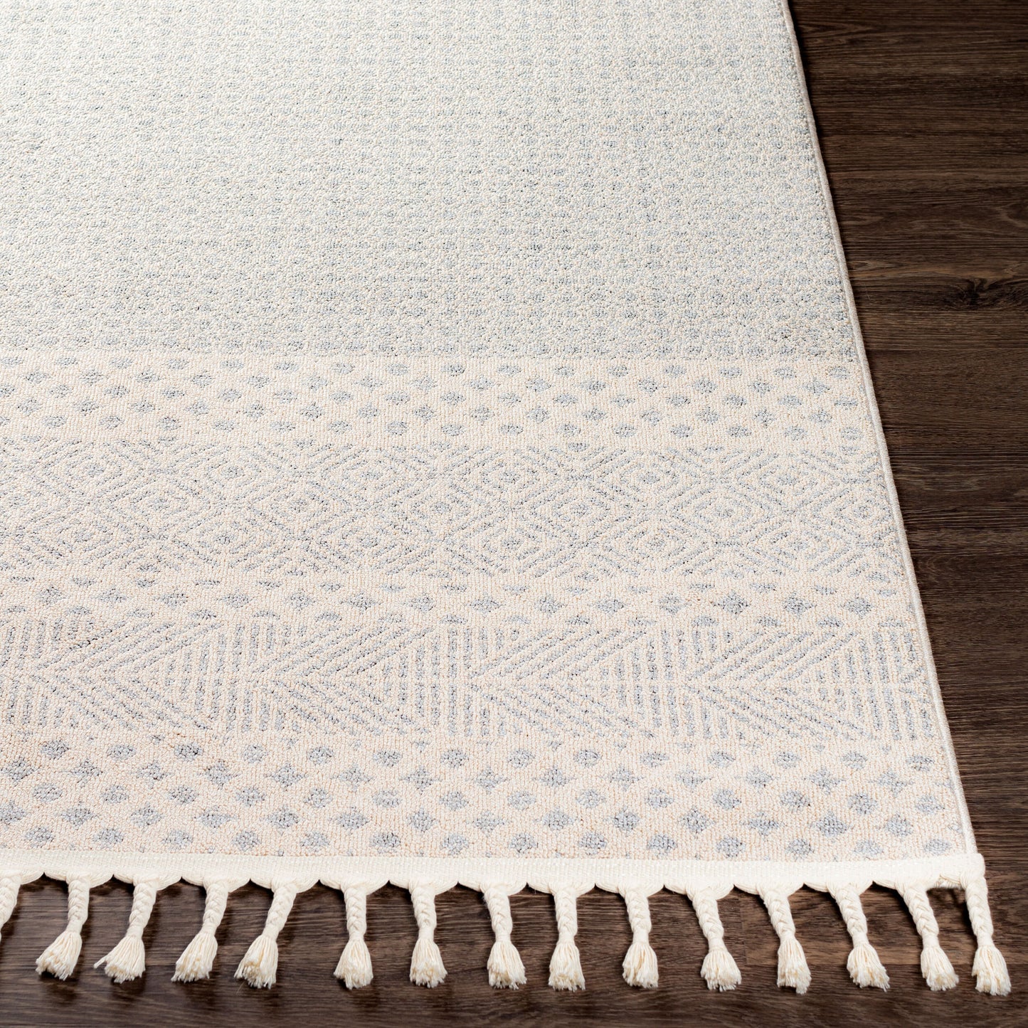 Alfombra decorativa tejida a máquina Euphoria ERP-2301 de 2' x 3'