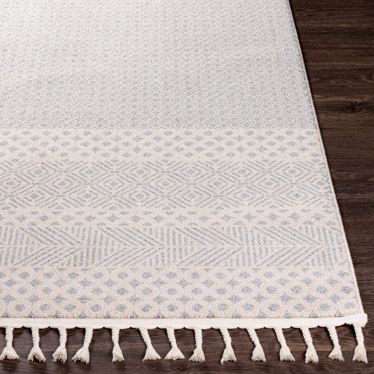 Alfombra decorativa tejida a máquina Euphoria ERP-2302 de 2' x 3'