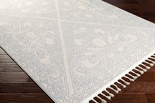 Alfombra decorativa tejida a máquina Euphoria ERP-2309 de 2' x 3'