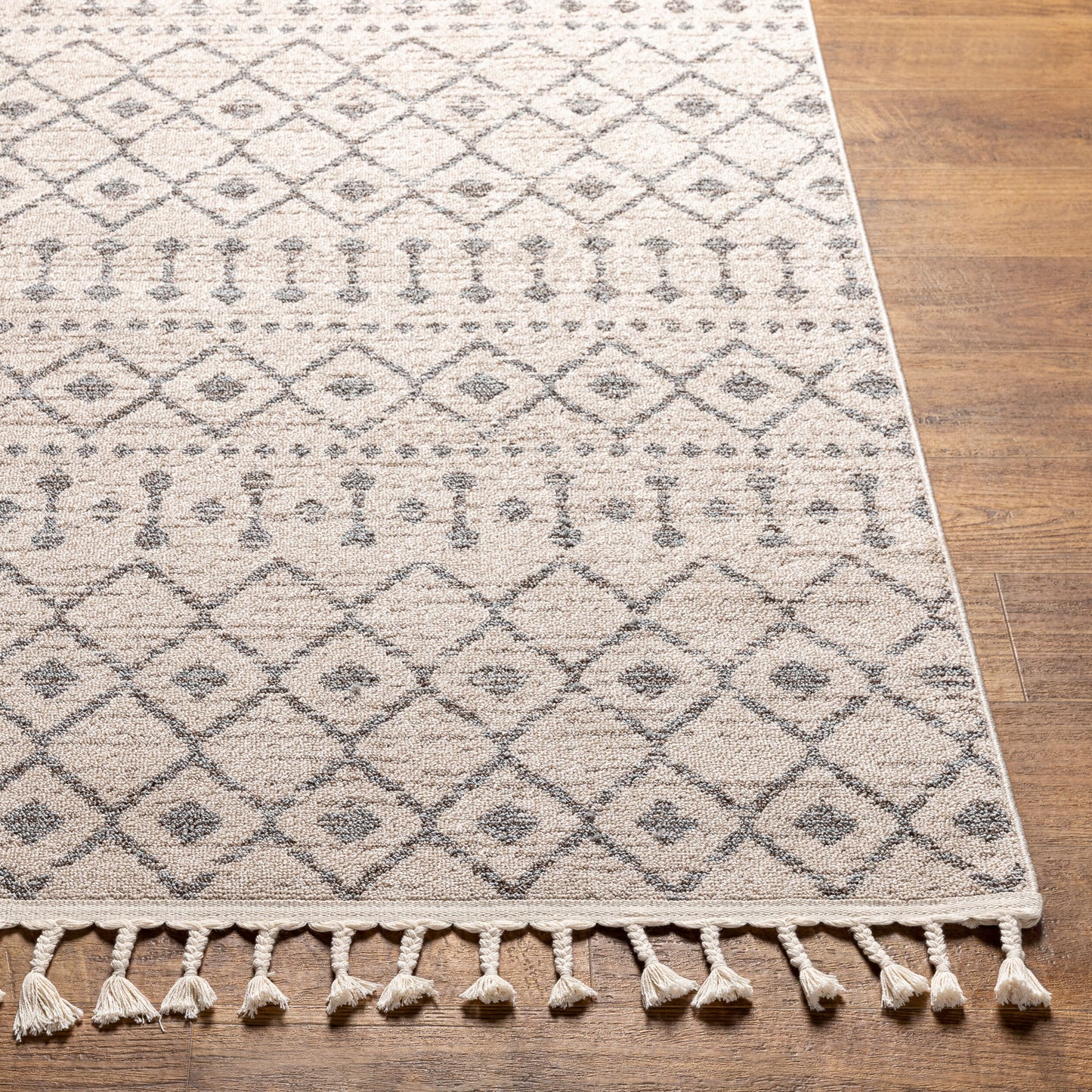 Euphoria ERP-2321 6' x 9' Machine Woven Area Rug