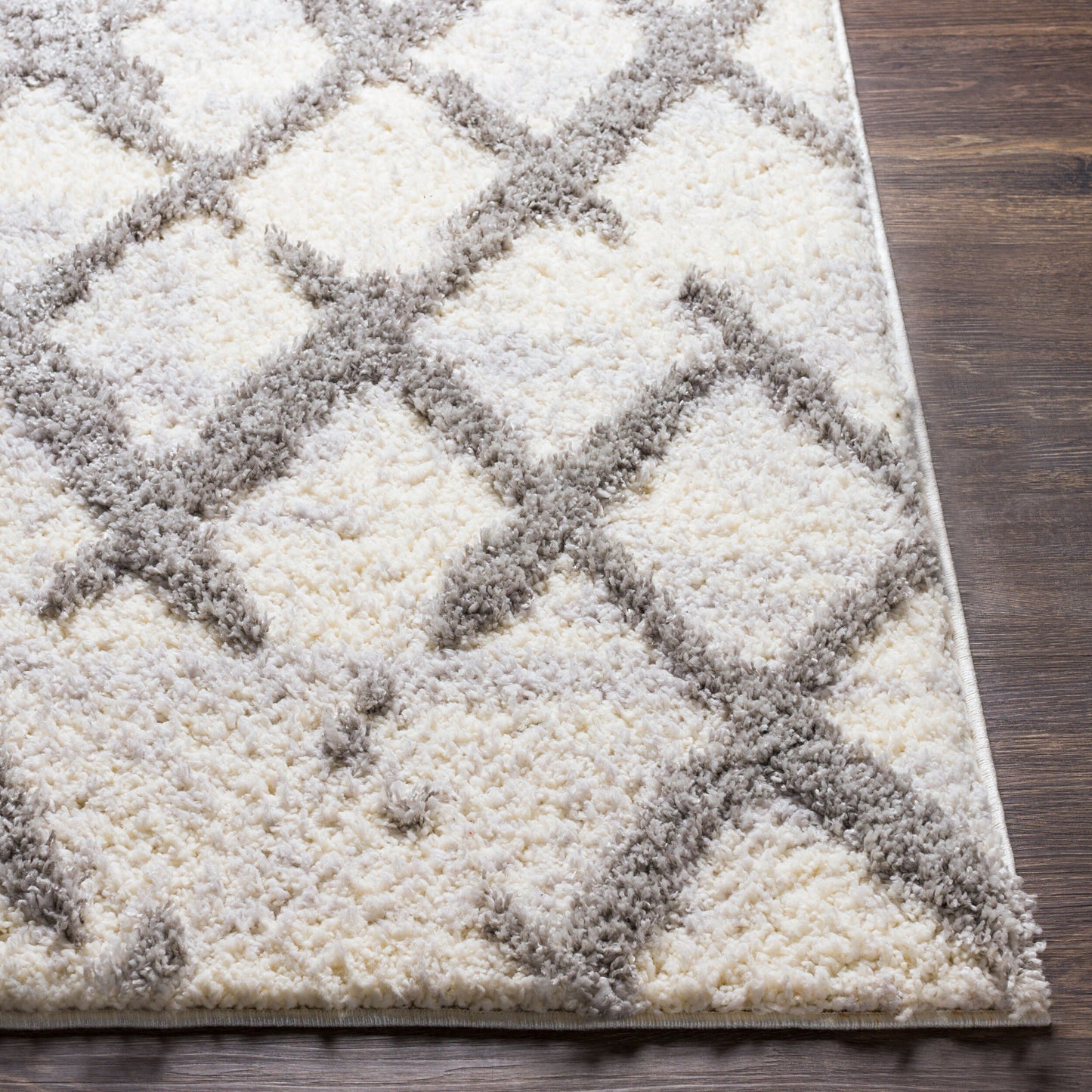 Everton ETN-2300 5' x 7' Machine Woven Area Rug