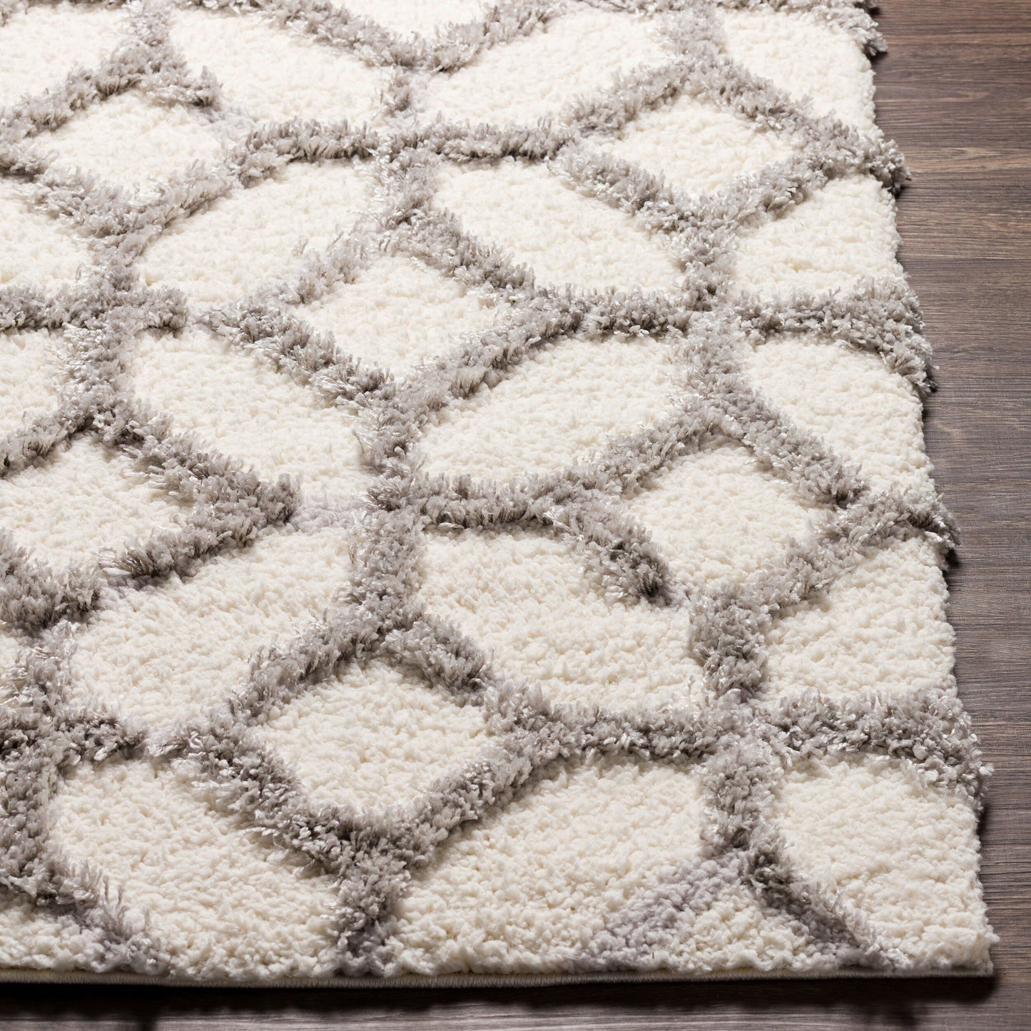 Everton ETN-2302 2' x 3' Machine Woven Accent Rug