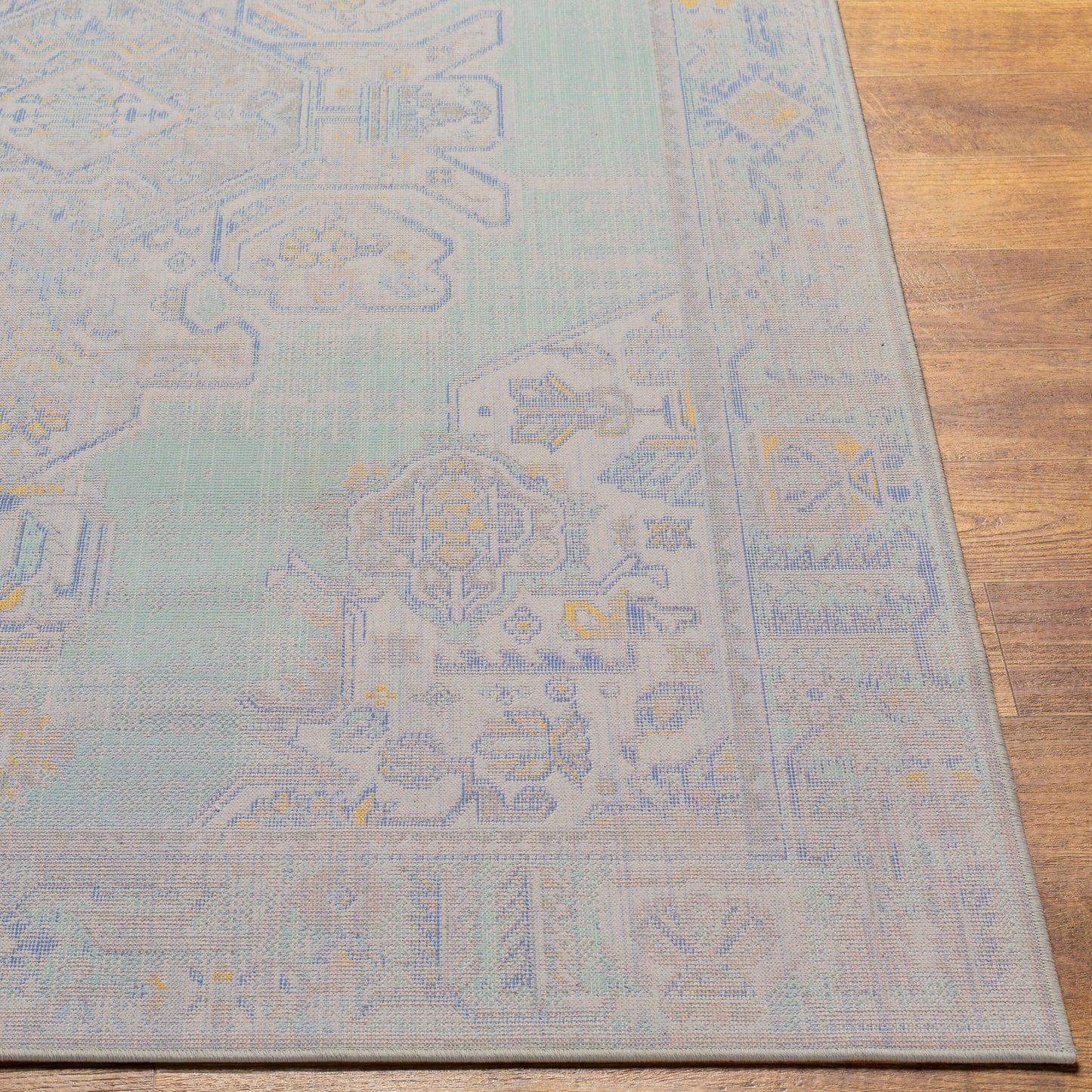 Rafetus ETS-2364 2' x 3' Machine Woven Accent Rug