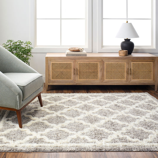 Florida FLD-2301 5' x 7' Machine Woven Area Rug