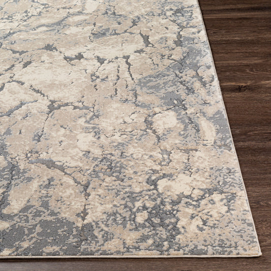 Florence FRO-2319 5' x 7' Machine Woven Area Rug