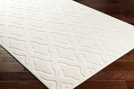 Greenwich GWC-2311 2' x 3' Machine Woven Indoor/Outdoor Accent Rug