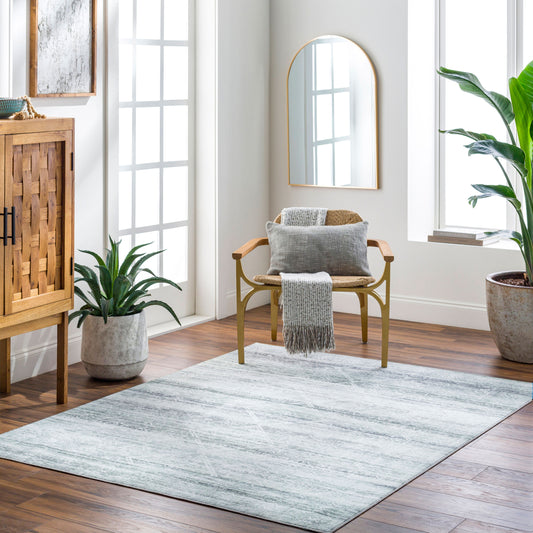 Hera HRH-2302 4' x 6' Machine Woven Washable Area Rug