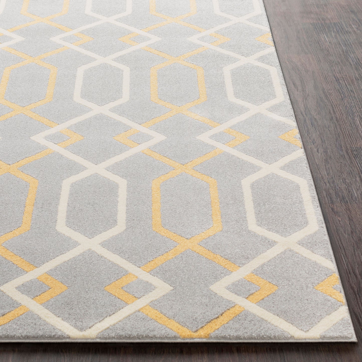 Horizon HRZ-1043 2' x 3' Machine Woven Accent Rug
