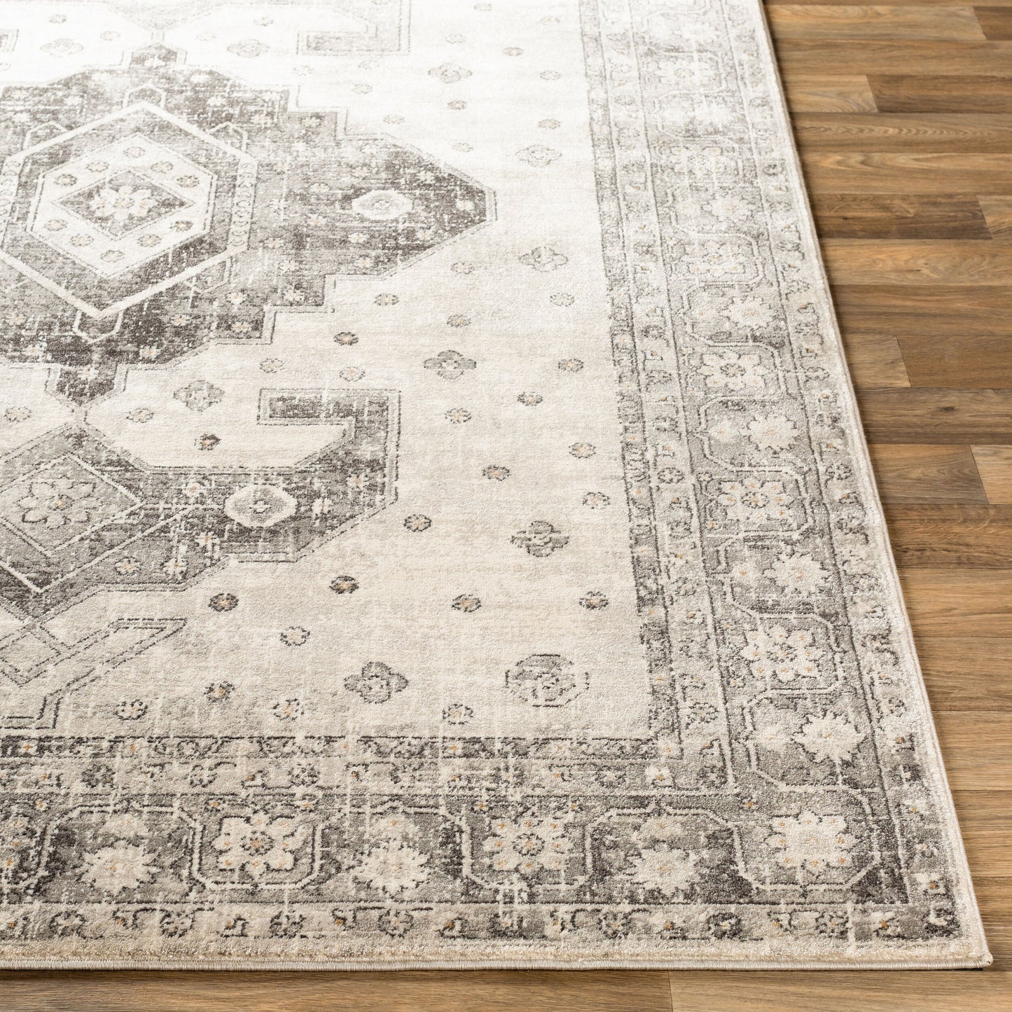 Indigo IGO-2322 2' x 3' Machine Woven Accent Rug