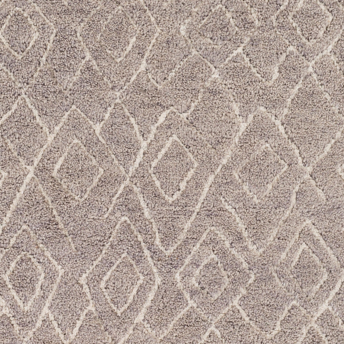 Javier JAV-1000 2' x 3' Handmade Wool Accent Rug