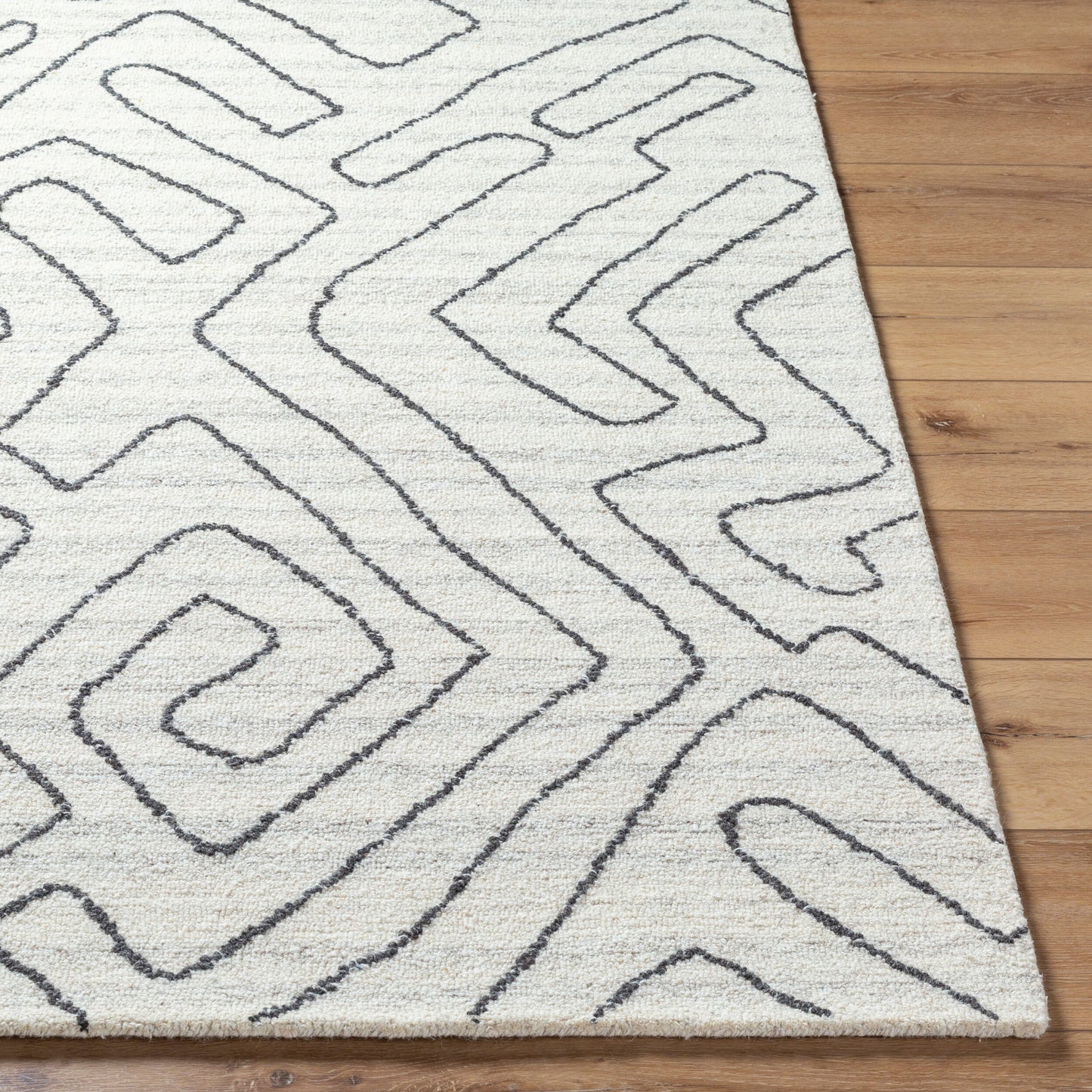 Alfombra decorativa de lana hecha a mano Jules JLS-2302 de 2' x 3'