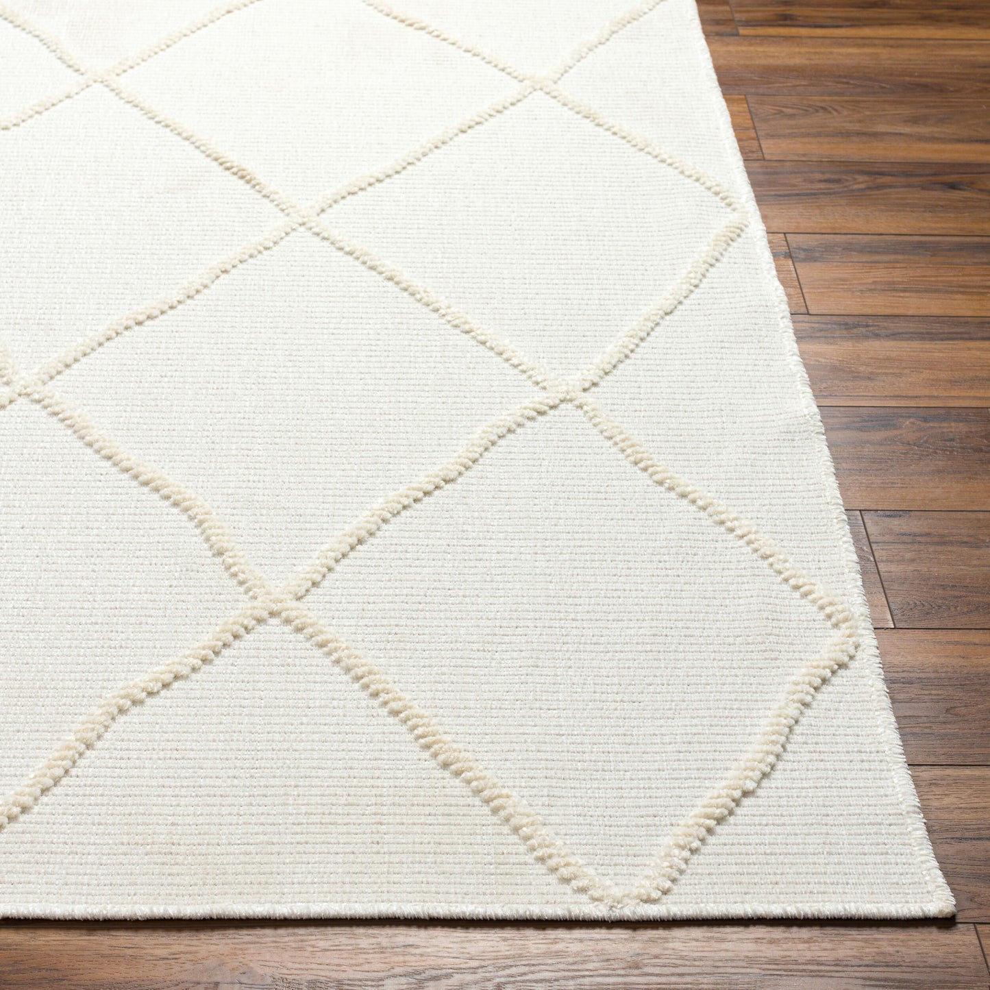 Lyna LYA-2303 2' x 3' Machine Woven Washable Accent Rug